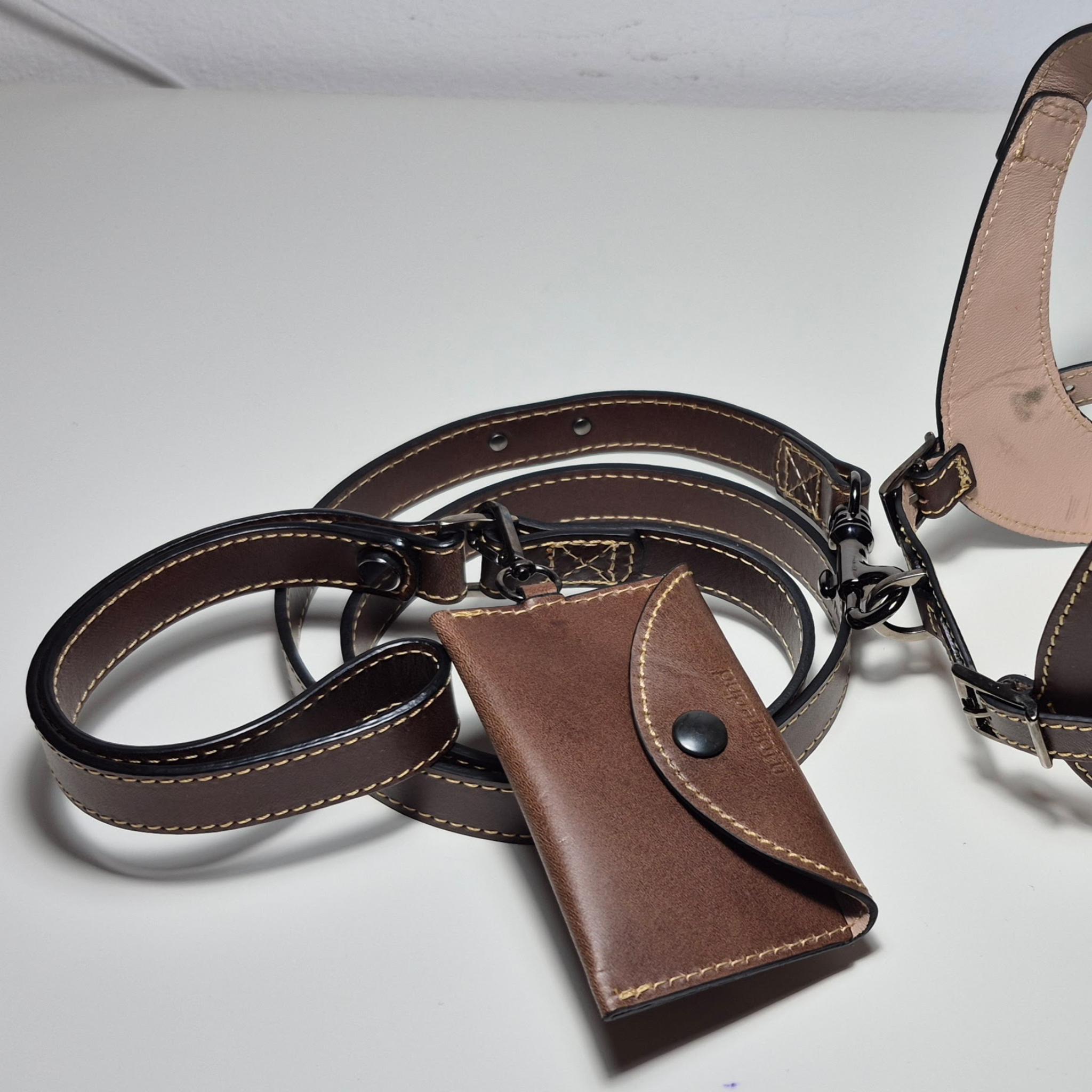 Set Pettorina e Guinzaglio in Pelle con Porta Sacchetti